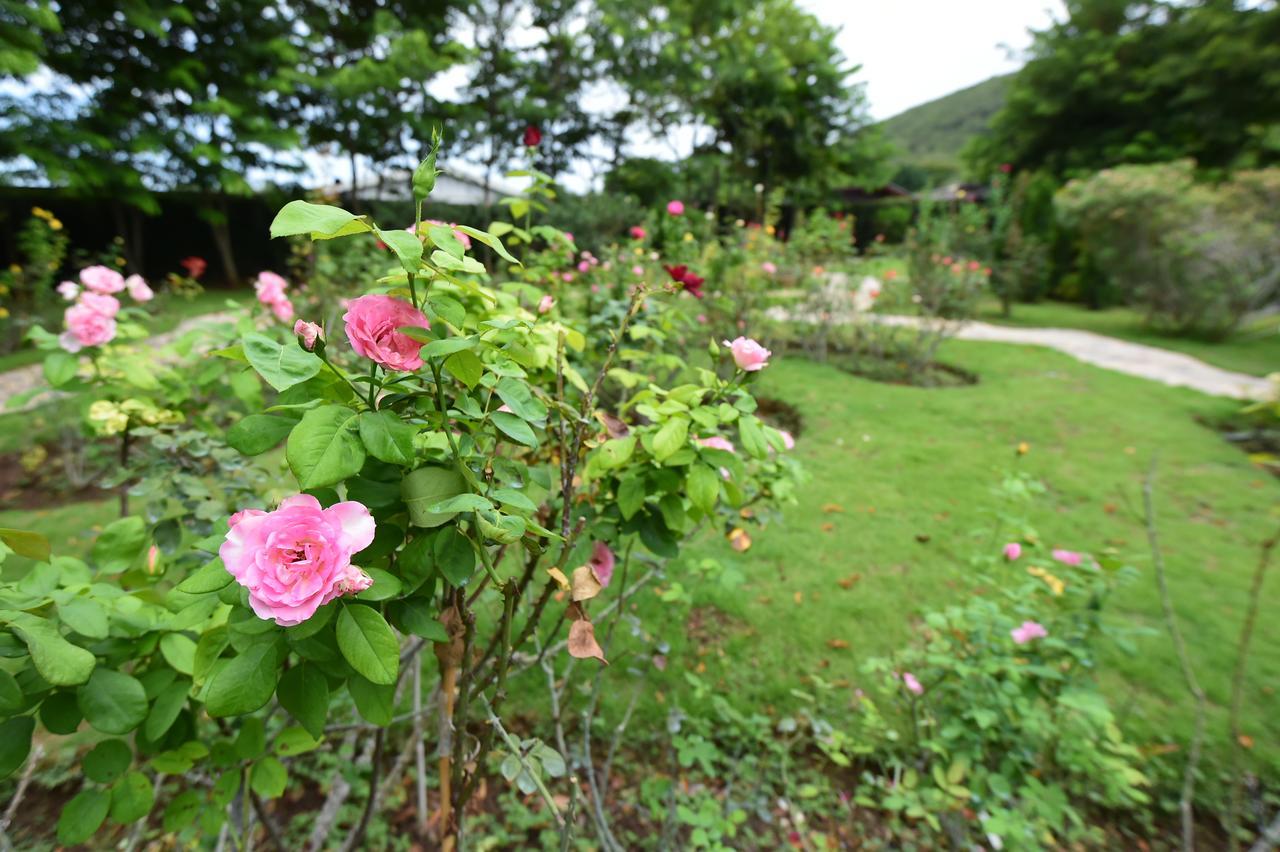 Rose Villa Hote Pakchong Exterior photo